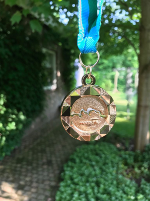 De Maasdijk medaille